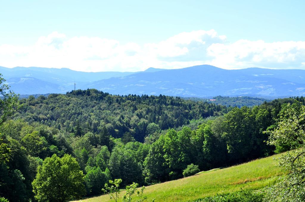 Haus Schoenegger Kitzeck im Sausal Bagian luar foto